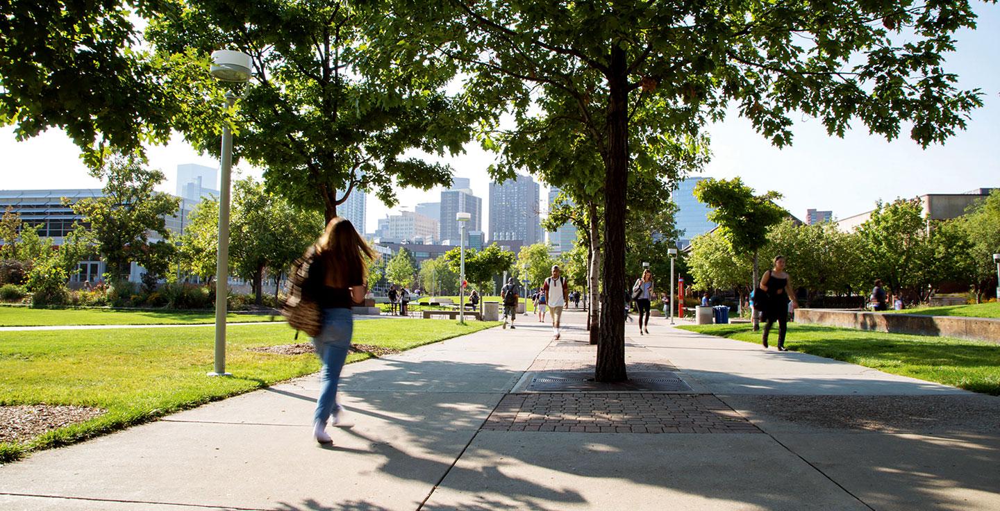 Auraria Campus in the summer.